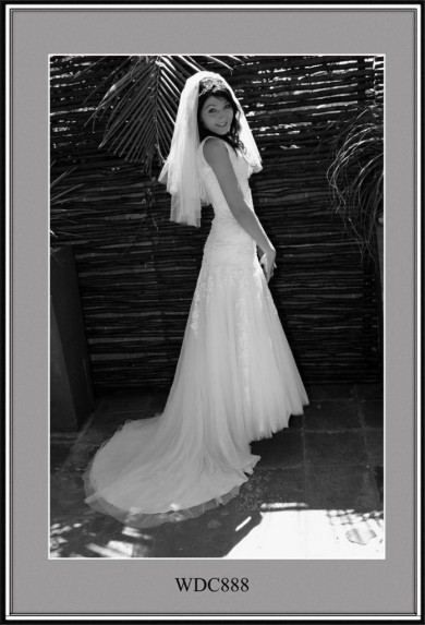  Wedding Dress Jobs in 2023 Don t miss out 