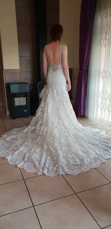 Budget Wedding Dresses Wedding Dress Creations